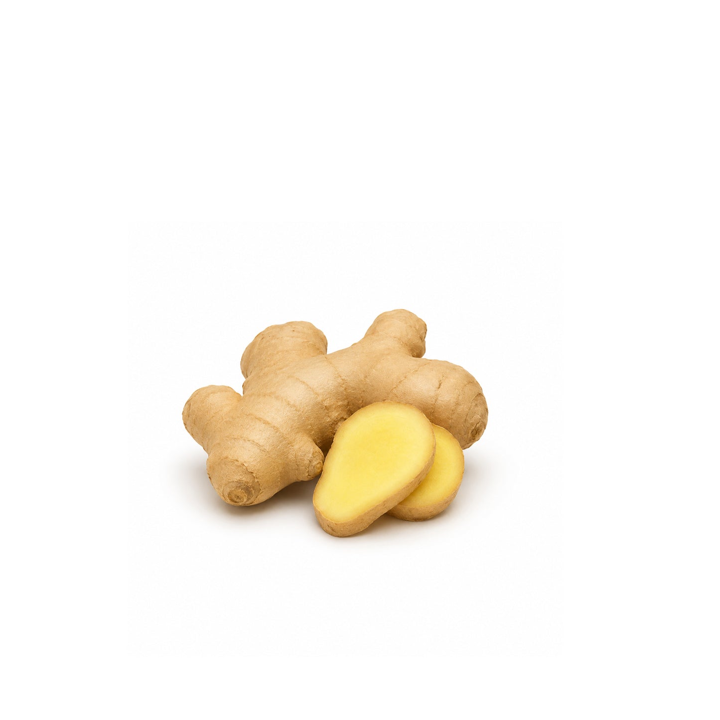 Fresh ginger root isolated on white background for natural essential oil and herbal wellness product display