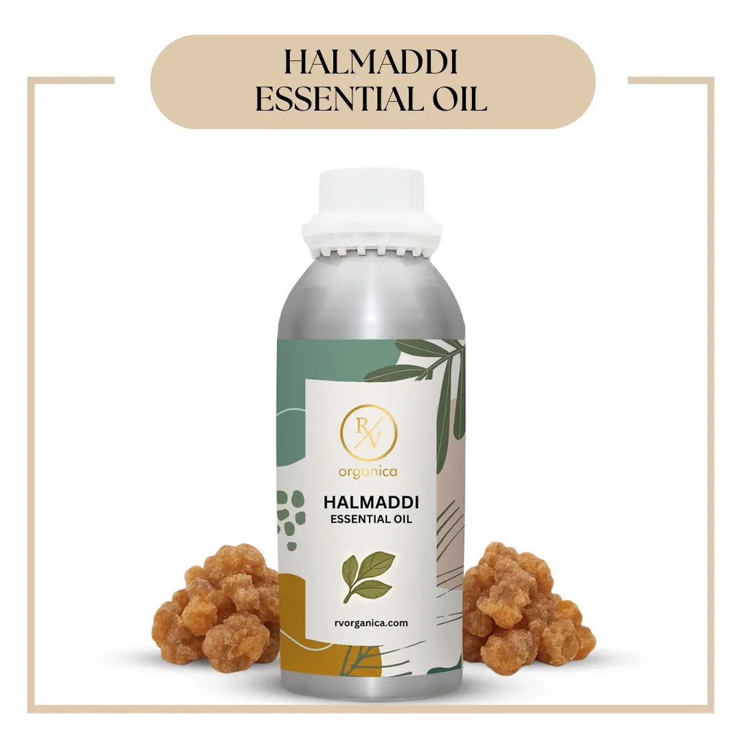 Pure Halmaddi Essential Oil for aromatherapy and skincare –RV Organica