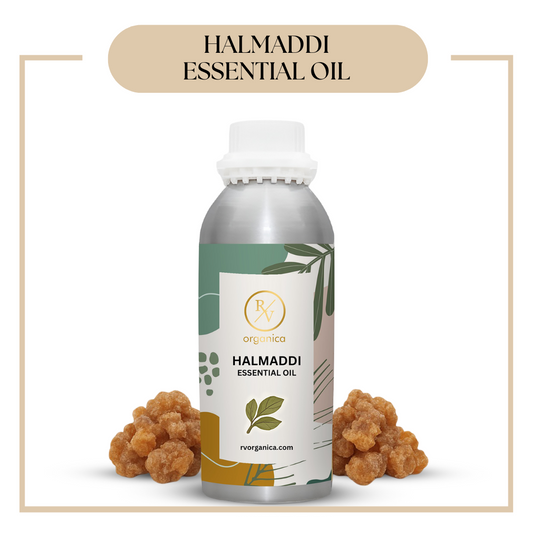 Pure Halmaddi Essential Oil for aromatherapy and skincare –RV Organica