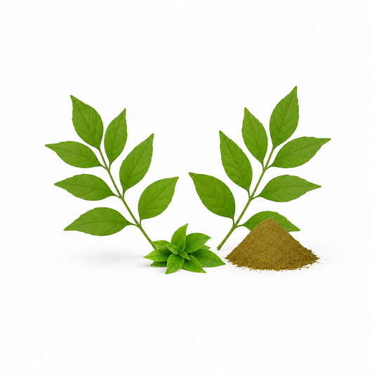Fresh henna leaves and natural henna powder arranged on a clean white background, botanical ingredient display for herbal skincare and essential oil products.