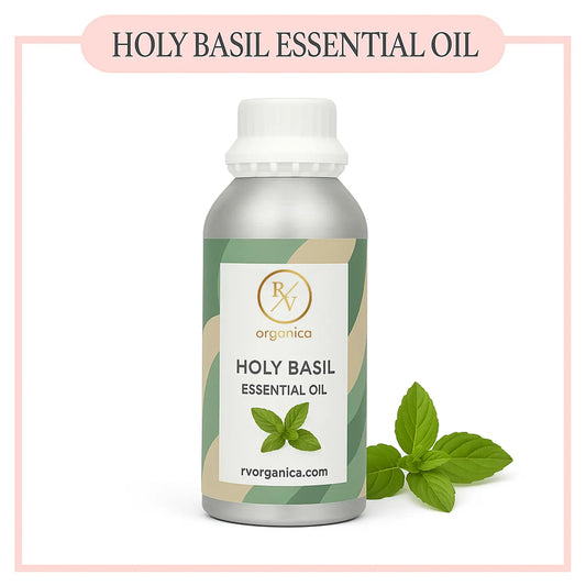 Pure Holy Basil Essential Oil for aromatherapy and skincare –RV Organica