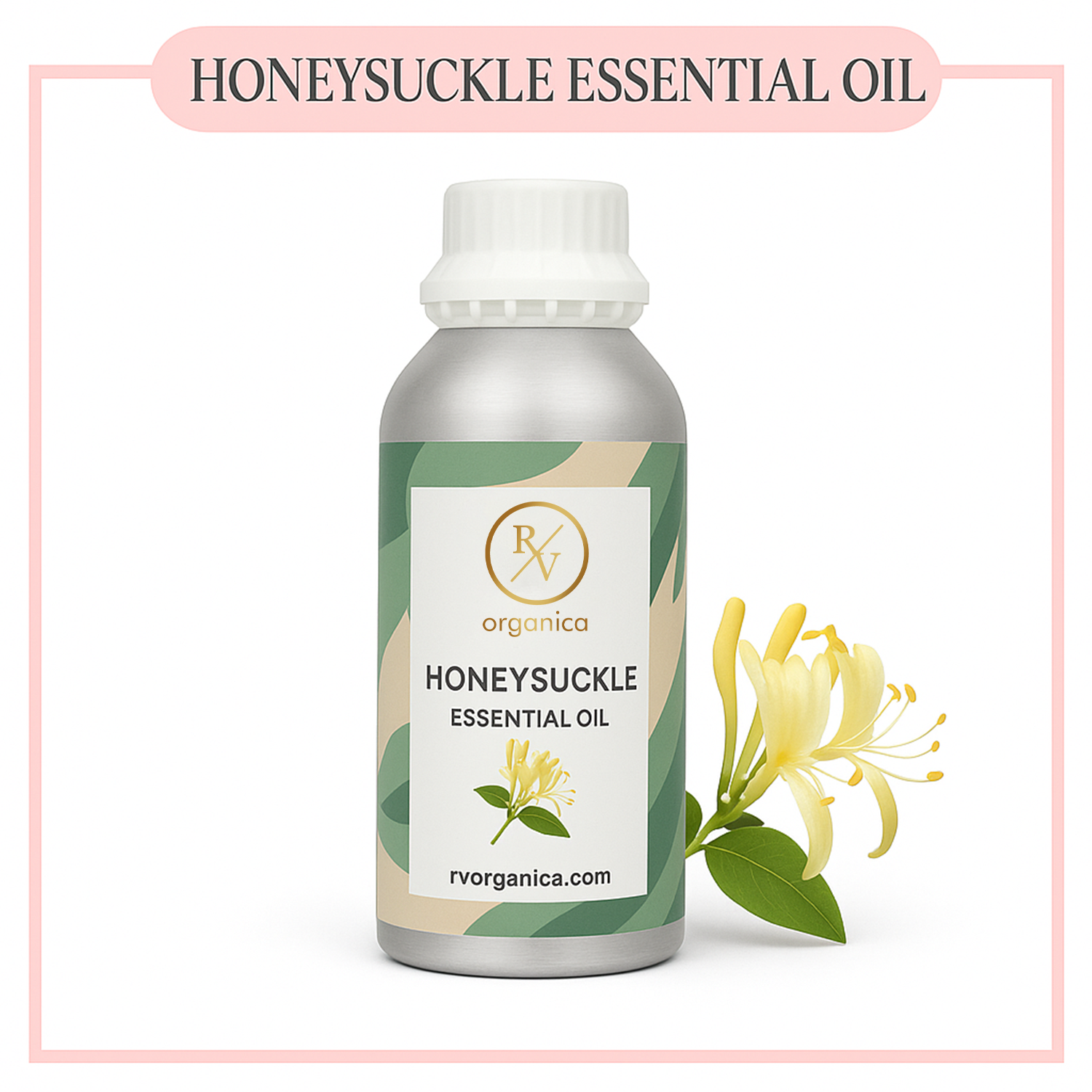 Pure Honey Suckle Essential Oil for aromatherapy and skincare –RV Organica