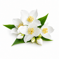 Jasmine Hydrosol