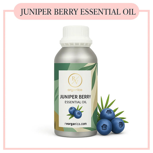 Pure Juniper Berry Essential Oil for aromatherapy and skincare –RV Organica