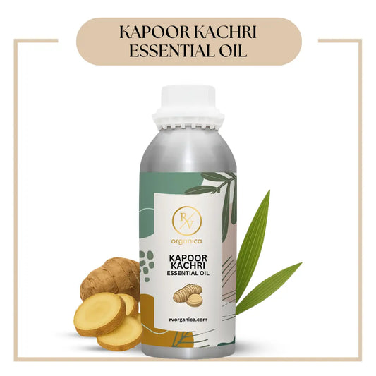 Pure Kapoor Kachri Essential Oil for aromatherapy and skincare –RV Organica