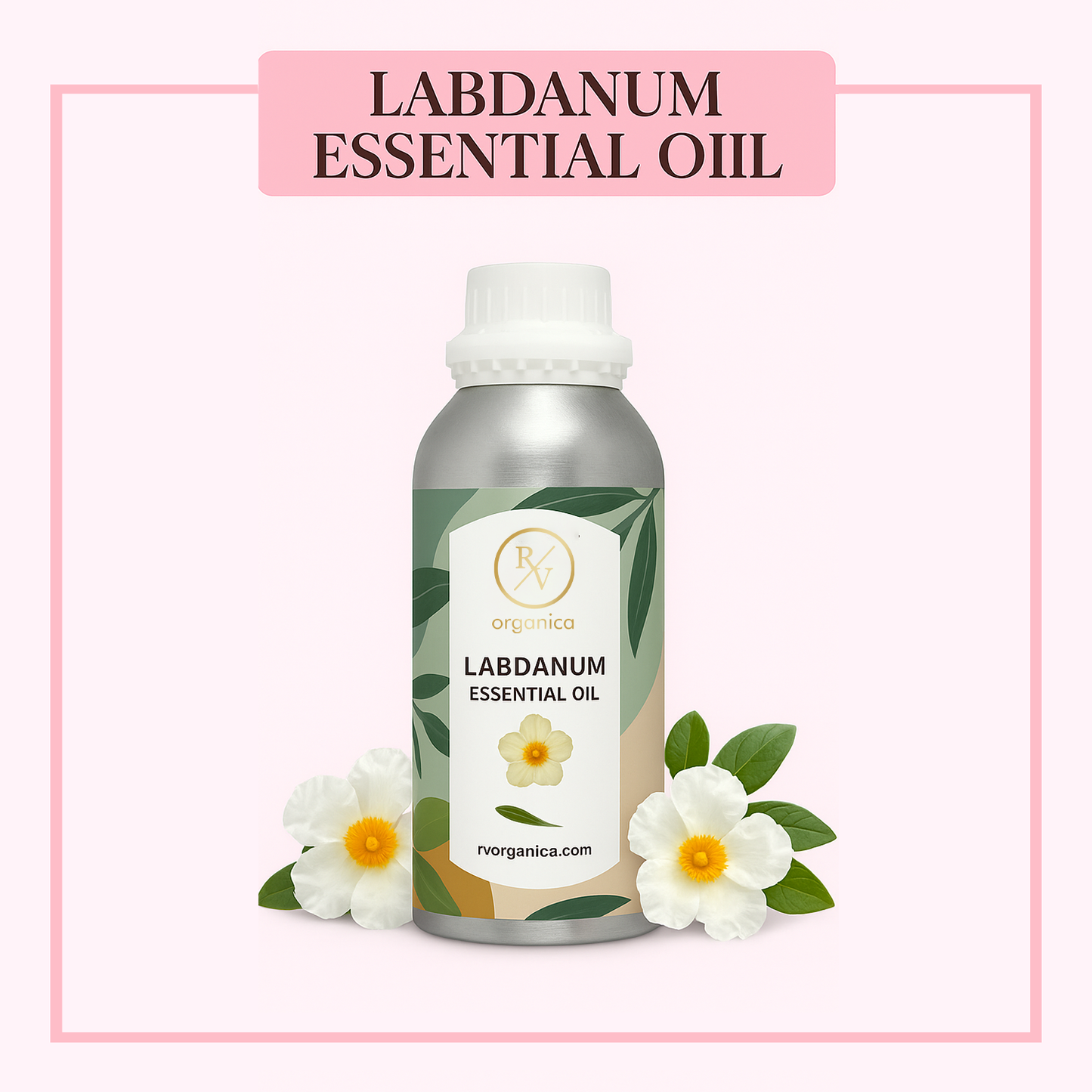 Pure Labdanum Essential Oil for aromatherapy and skincare –RV Organica