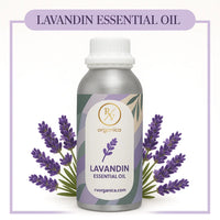 Lavandin Essential Oil