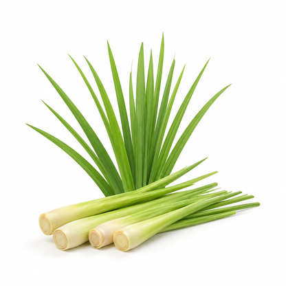 Lemongrass Fragrance Oil with a fresh citrus and herbal aroma, offering a clean, uplifting, and long-lasting scent ideal for candles, soaps, perfumes, and personal care products.