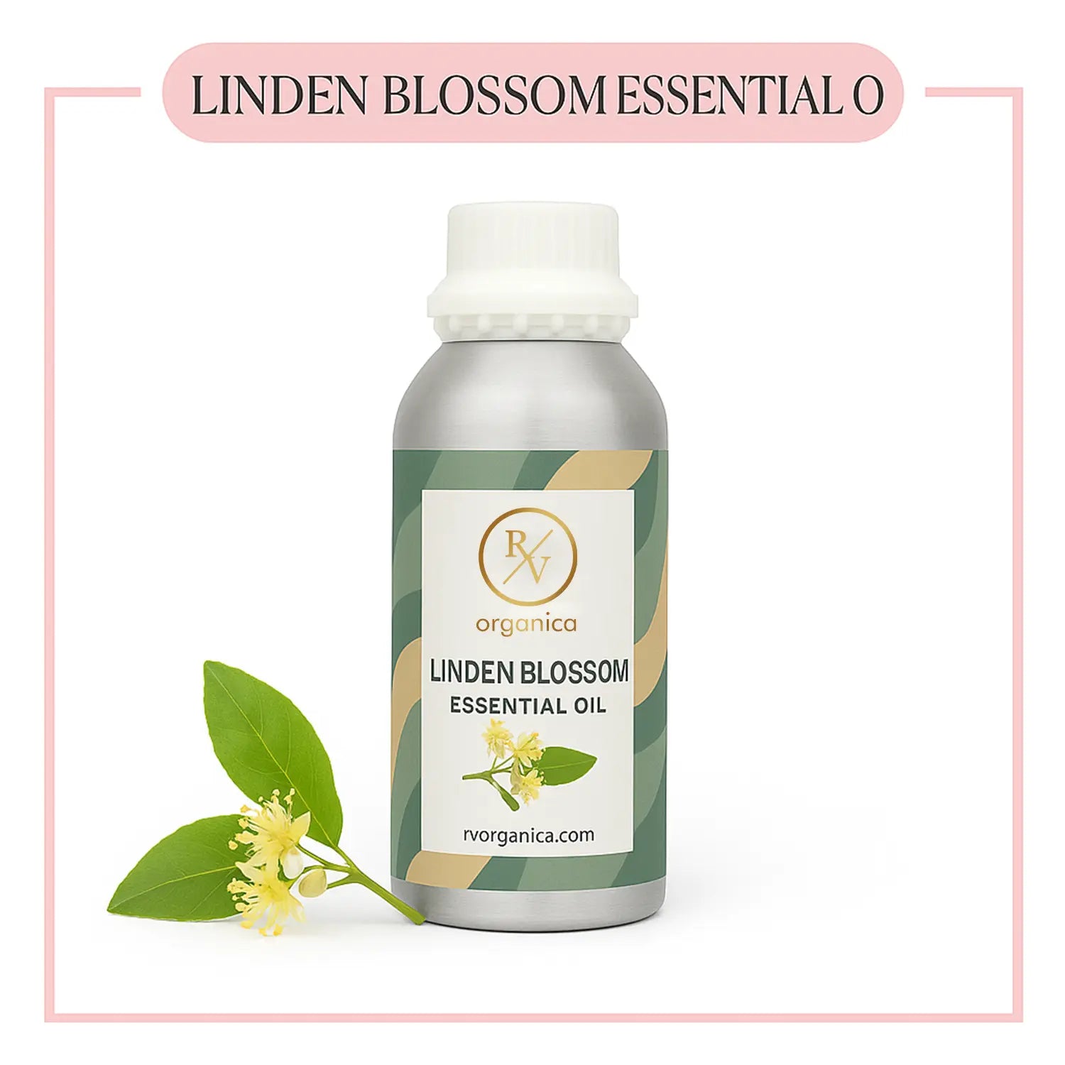 Pure Linden Blossom Essential Oil for aromatherapy and skincare –RV Organica
