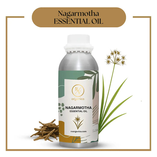 Pure Nagar Motha Essential Oil for aromatherapy and skincare –RV Organica