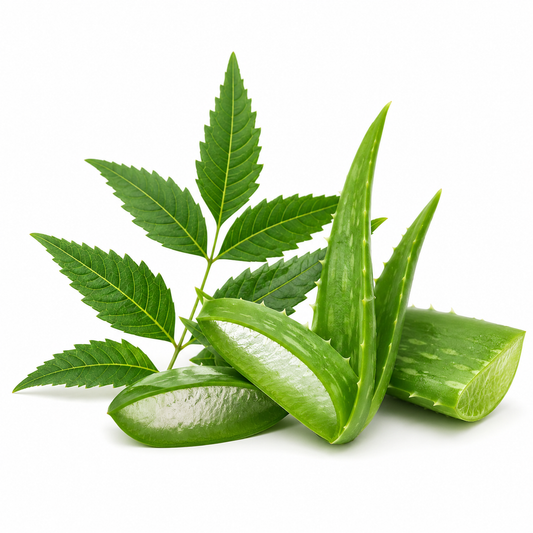 Neem Aloe fragrance oil with herbal green aroma, combining neem and aloe vera notes, ideal for skincare, soaps, and natural aromatherapy products - second image