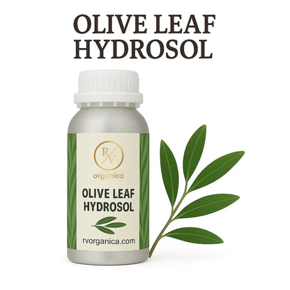Organic olive leaf hydrosol natural face toner with antioxidant benefits
