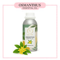 Pure Osmanthus Essential Oil for aromatherapy and skincare –RV Organica