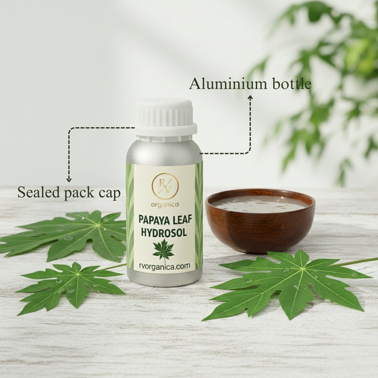 Papaya Leaf Hydrosol in aluminium bottle with sealed cap packaging, natural herbal skincare toner with fresh papaya leaves on wooden surface.