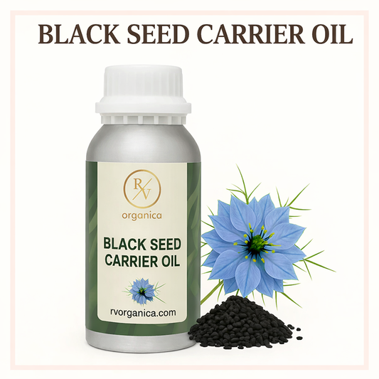 Pure black seed carrier oil natural cosmetic oil by RV Organica