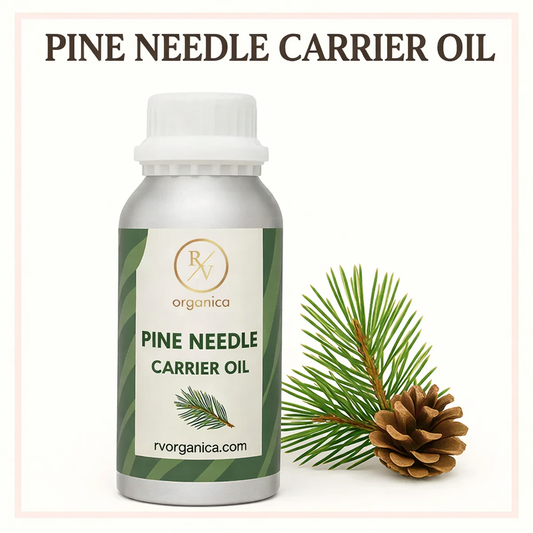 Pure pine needle carrier oil for skin and hair cosmetic use