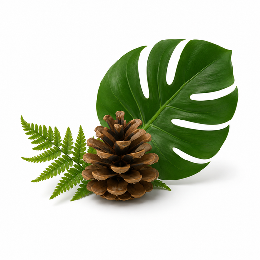 Rain Forest Fragrance Oil with a fresh green and woody aroma, inspired by lush tropical forests and rain-kissed foliage for a refreshing, long-lasting scent ideal for candles, soaps, perfumes, and personal care products. - second image