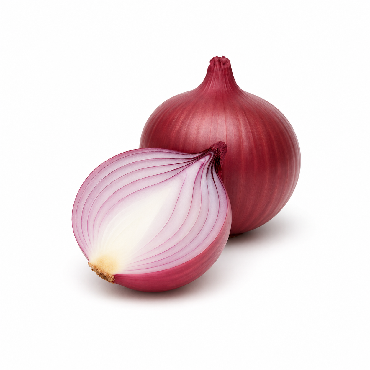Fresh red onion and sliced onion half isolated on a clean white background, natural botanical ingredient commonly used in hair care, skincare, and essential oil formulations.