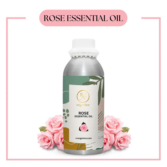 Pure Rose Essential Oil for aromatherapy and skincare –RV Organica