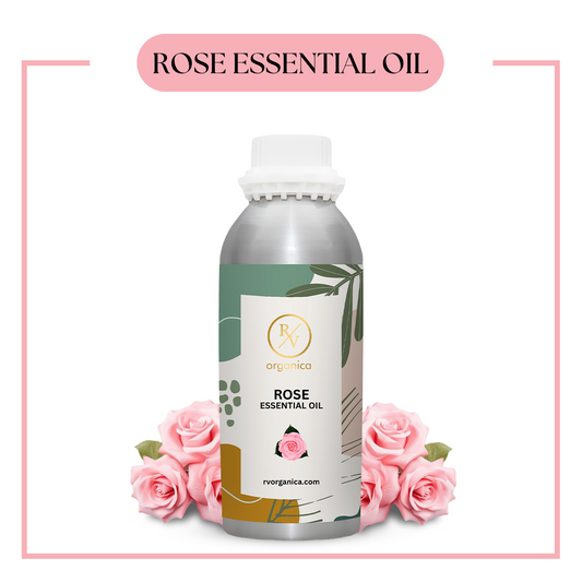 Pure Rose Essential Oil for aromatherapy and skincare –RV Organica