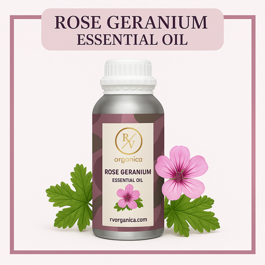 Pure Rose Geranium Essential Oil for aromatherapy and skincare –RV Organica