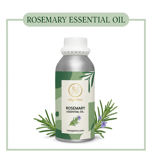 Rosemary essential oil with fresh rosemary leaves for hair growth and scalp care