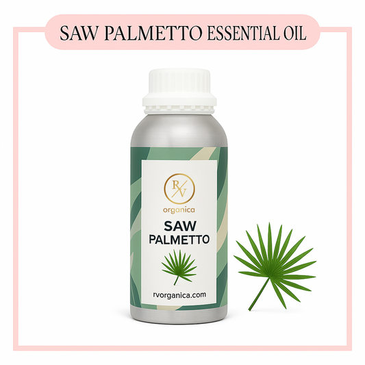 Pure Saw Palmetto Essential Oil for aromatherapy and skincare –RV Organica