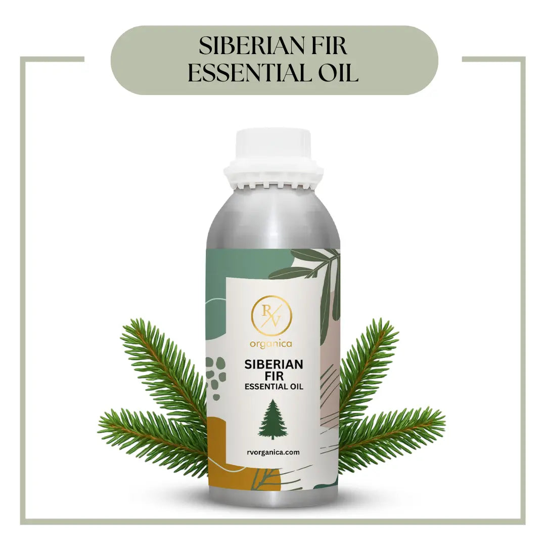 Pure Siberian Fir Needle Essential Oil for aromatherapy and skincare –RV Organica