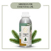 Pure Siberian Fir Needle Essential Oil for aromatherapy and skincare –RV Organica