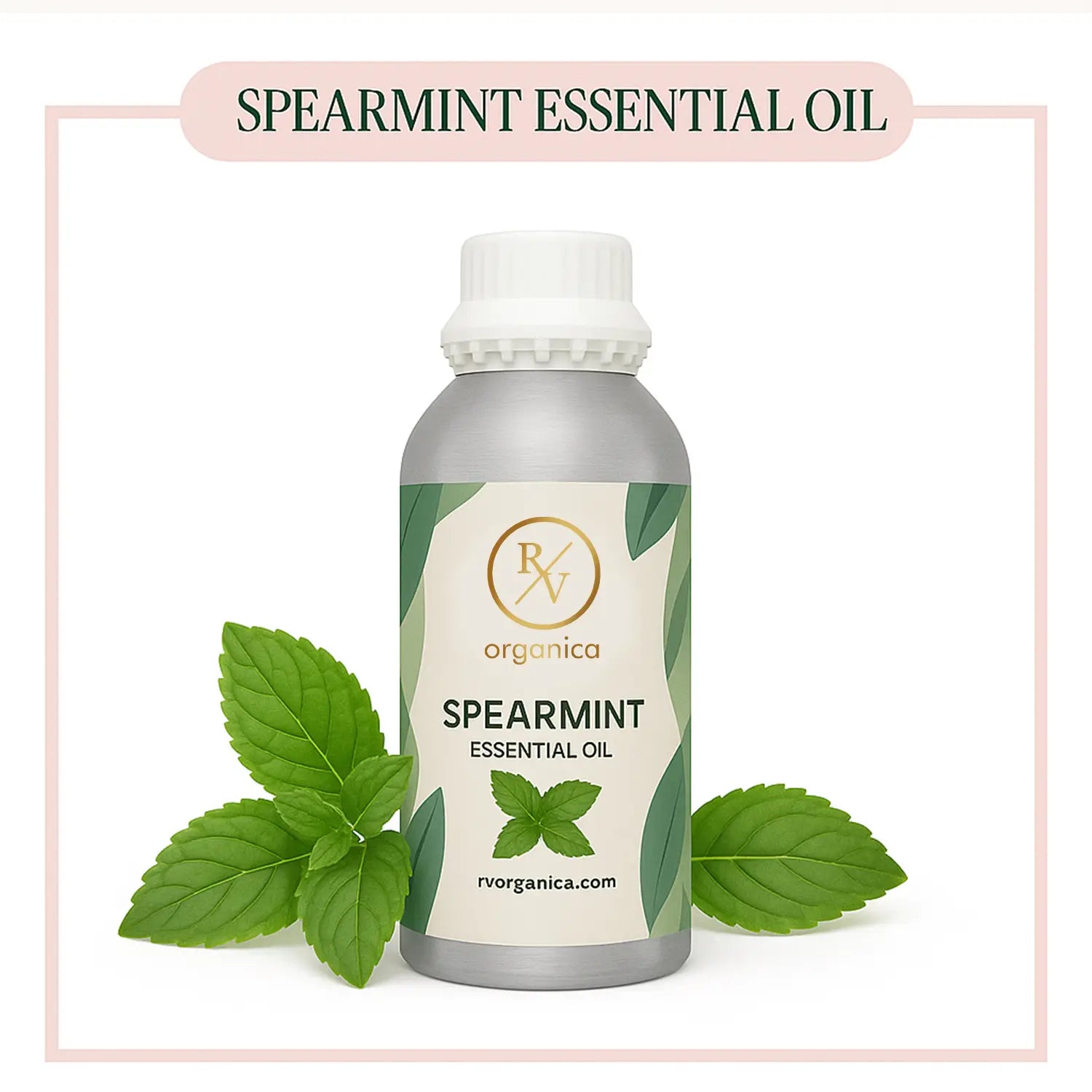 Pure Spearmint Essential Oil for aromatherapy and skincare –RV Organica