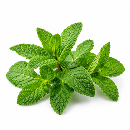 Spearmint Essential Oil with a refreshing minty aroma ideal for aromatherapy and personal care products.
