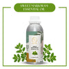 Pure Sweet Marjoram Essential Oil for aromatherapy and skincare –RV Organica