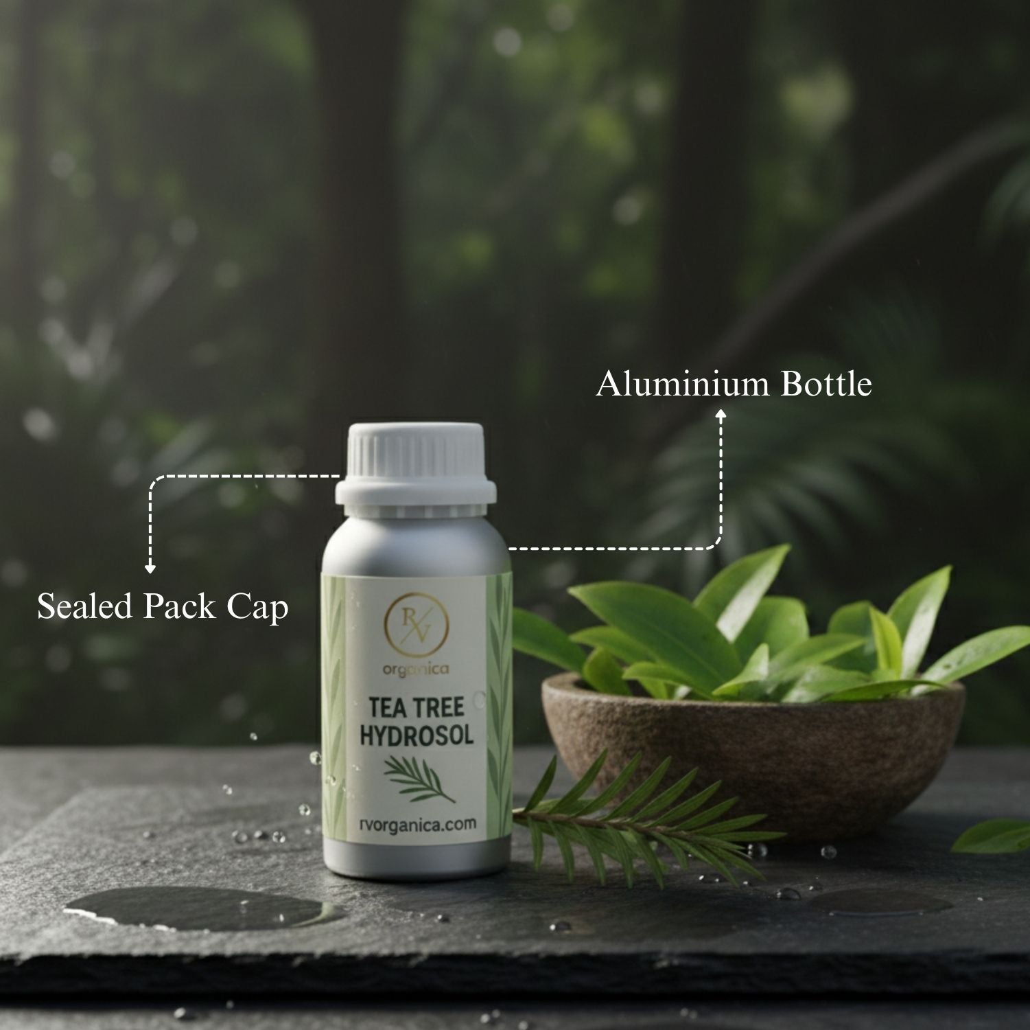 Tea Tree Hydrosol in aluminium bottle with sealed pack cap, natural organic skincare toner with fresh tea tree leaves on dark stone surface.