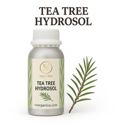Pure organic tea tree hydrosol for acne-prone and oily skin by RV Organica - natural skin toner with antibacterial properties