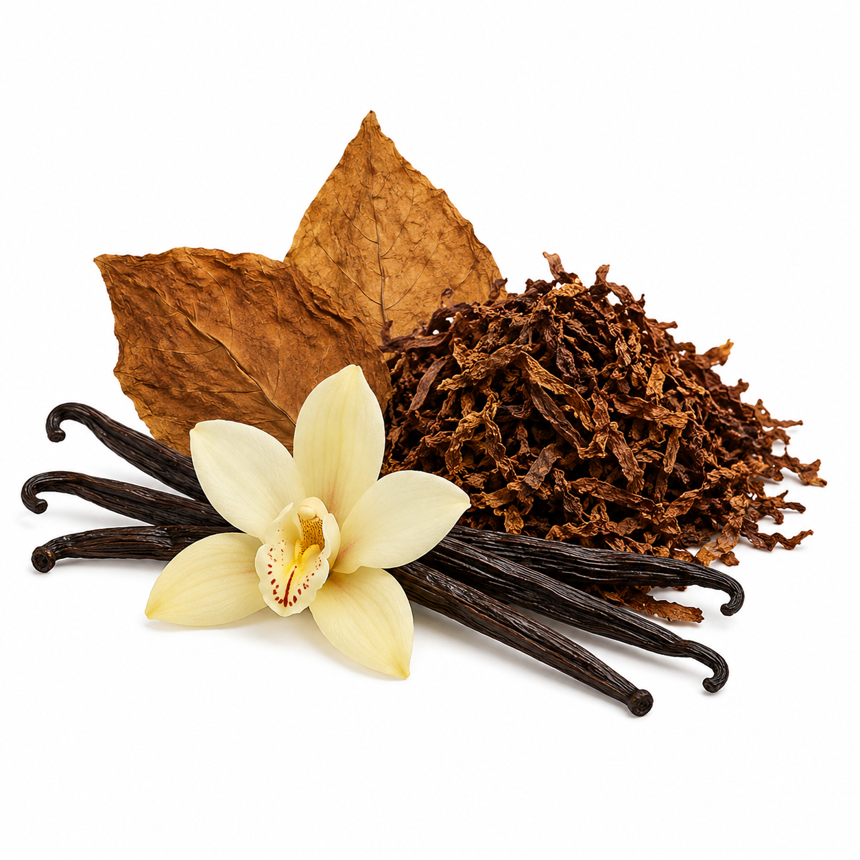 Tobacco Vanilla Fragrance Oil