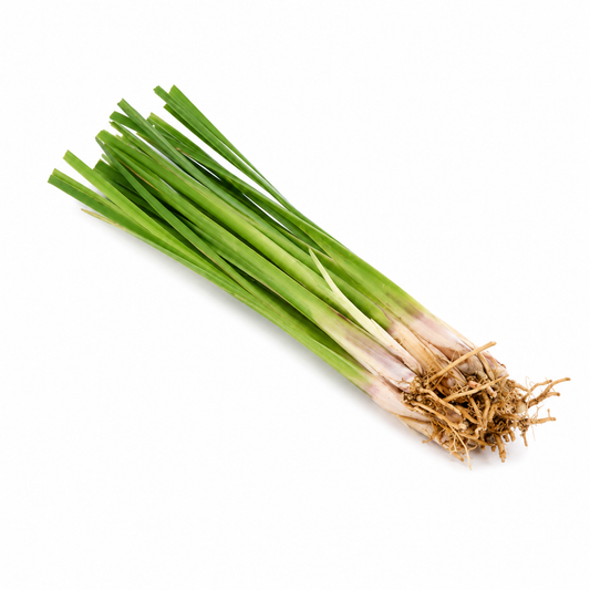 Vetiver Fragrance Oil