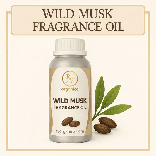 Wild Musk Fragrance Oil with deep musky and sensual aroma notes