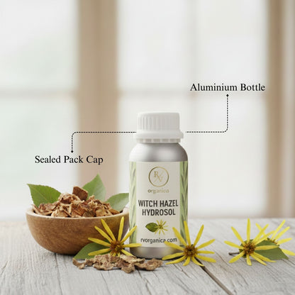 Witch Hazel Hydrosol in aluminium bottle with sealed pack cap, natural organic skin toner with witch hazel flowers and dried bark on wooden table.