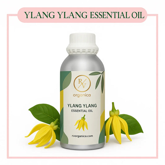 Pure Ylang Ylang Essential Oil for aromatherapy and skincare RV Organica