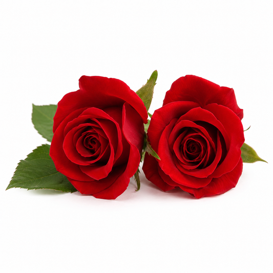 Zeenath Fragrance Oil with a premium floral oriental aroma, offering a rich, elegant, and long-lasting scent ideal for candles, soaps, perfumes, and personal care products.
